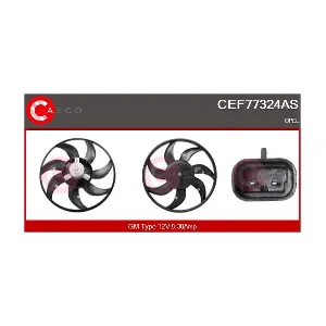 CEF77324AS CASCO