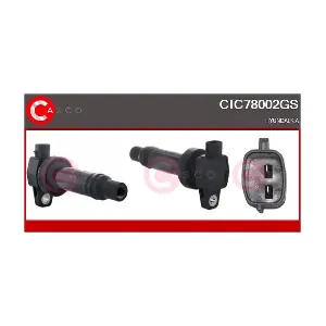 CIC78002GS CASCO