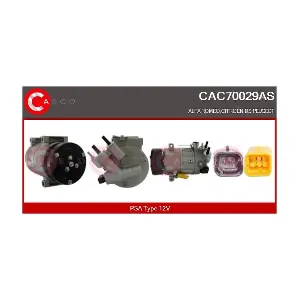 CAC70029AS CASCO