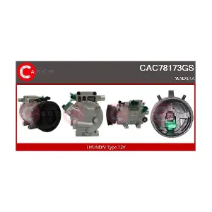 CAC78173GS CASCO