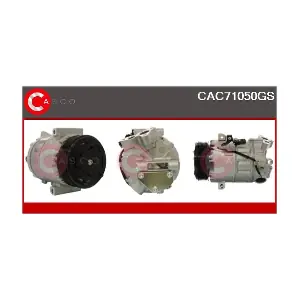 CAC71050GS CASCO