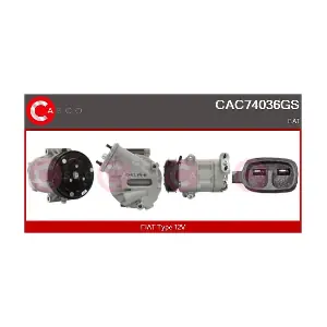 CAC74036GS CASCO
