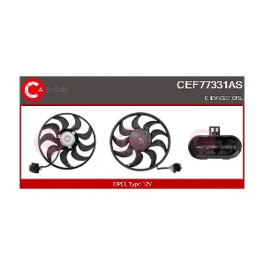 CEF77331AS* CASCO