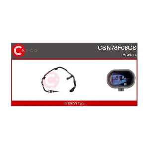 CSN78F06GS CASCO