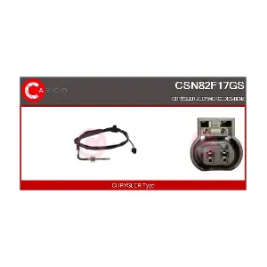 CSN82F17GS CASCO