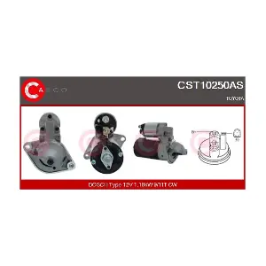CST10250AS CASCO