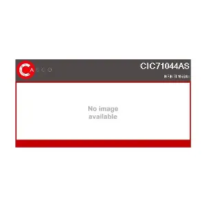 CIC71044AS CASCO