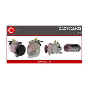 CAC75028GS CASCO