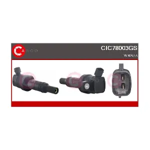 CIC78003GS CASCO