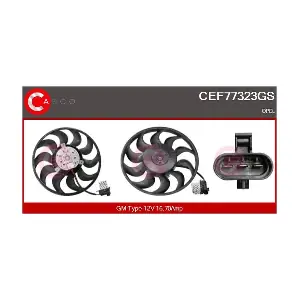 CEF77323GS CASCO