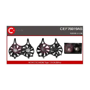 CEF76019AS CASCO