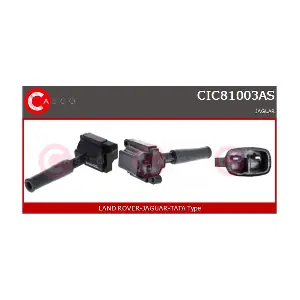 CIC81003AS CASCO
