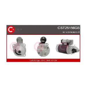 26310 CASCO