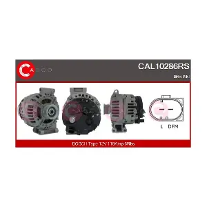 CAL10286RS CASCO