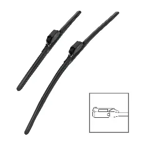 020190 HEYNER