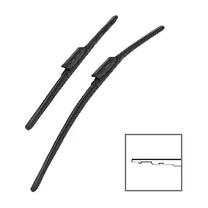 020210 HEYNER