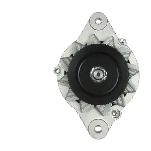 25029007B CHEVROLET