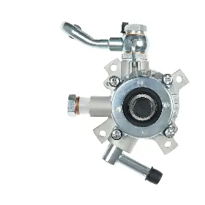 P6004S AS-PL