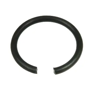 AS-PL SRS0171S
