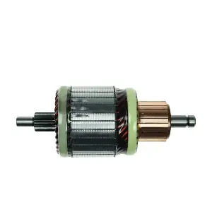 AS-PL SA0031