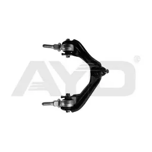 9702812 AYD