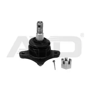 9200054 AYD