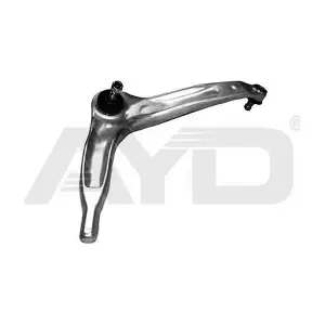 9702876 AYD