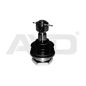 9205907 AYD