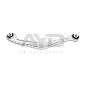 8808613 AYD