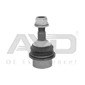 9213204 AYD
