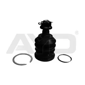 9202589 AYD