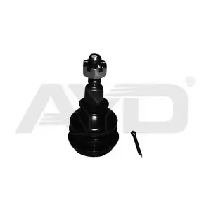 9205198 AYD