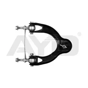 9702816 AYD