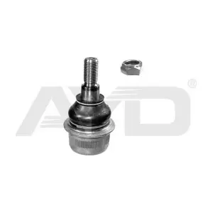 9203426 AYD