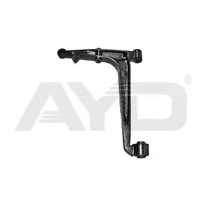 AYD 97-06829