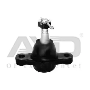 9207309 AYD