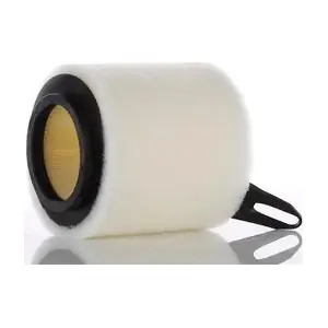 WA22260 PZL Filters