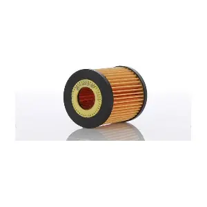 PZL Filters WO1557X