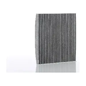 PZL Filters WA61203