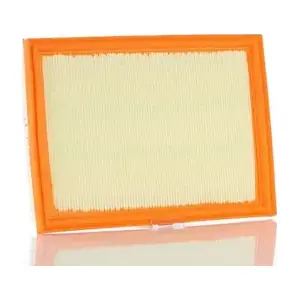 PZL Filters WA59435