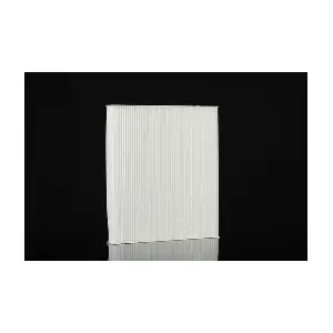PZL Filters WA60255