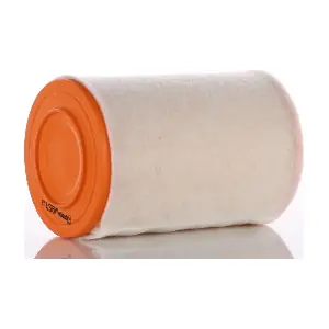 PZL Filters WA20274