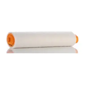PZL Filters WA25505