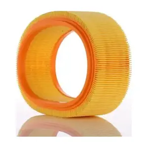 PZL Filters WA20350