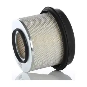 WA221100 PZL Filters