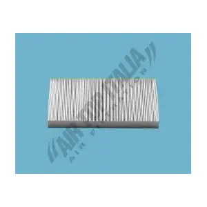ASTER ASF2021
