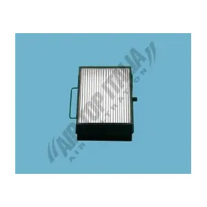 ASF2023 ASTER