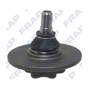 FRAP F3806