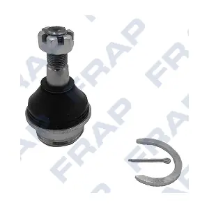 F3171 FRAP