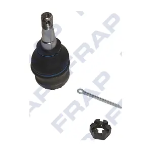 F1833 FRAP